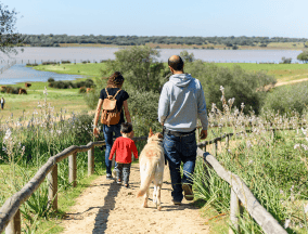 Camino for families