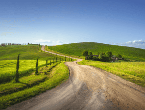 Camino frances path