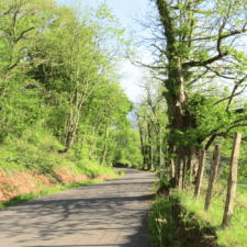 Camino Frances from Roncesvalles to Santiago