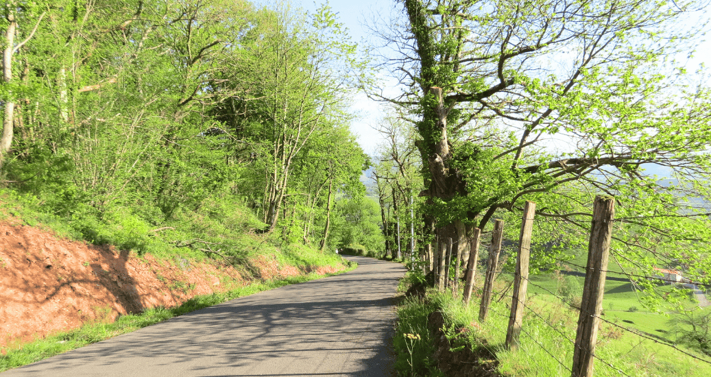 Camino Frances from Roncesvalles to Santiago