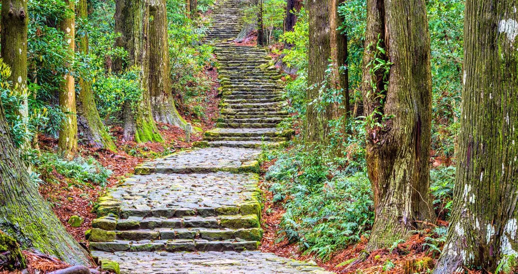Stairs going up Trekking in Kumano Kodo