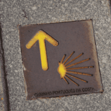 Yellow arrow Camino Portugues coastal