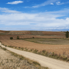 Pathway on Camino Frances open fields