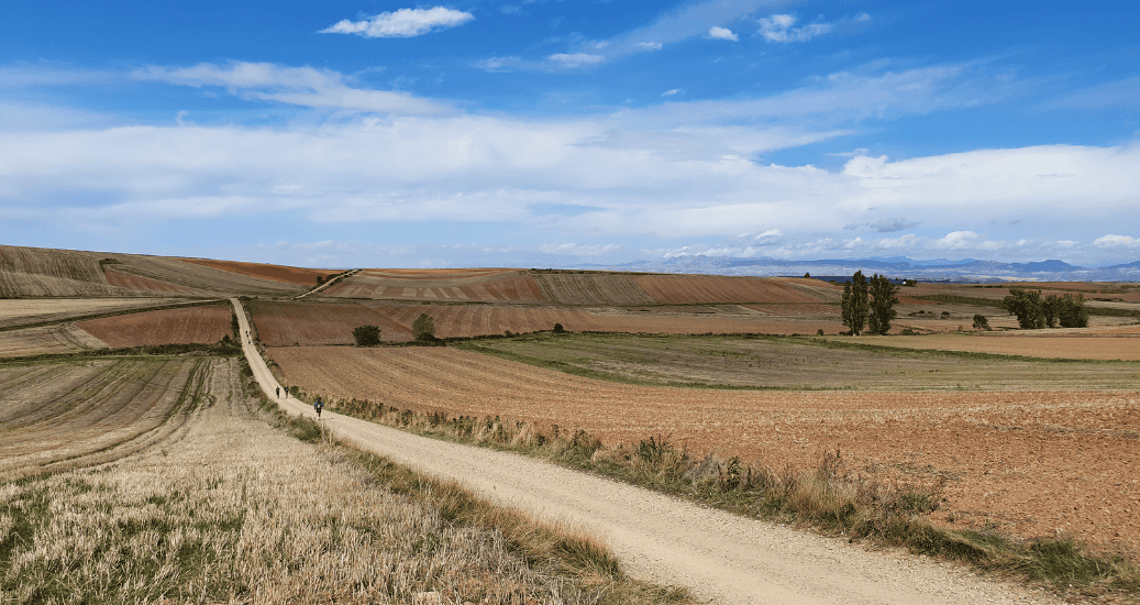 Pathway on Camino Frances open fields