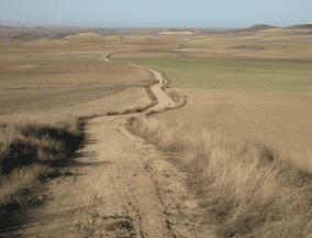 Meseta