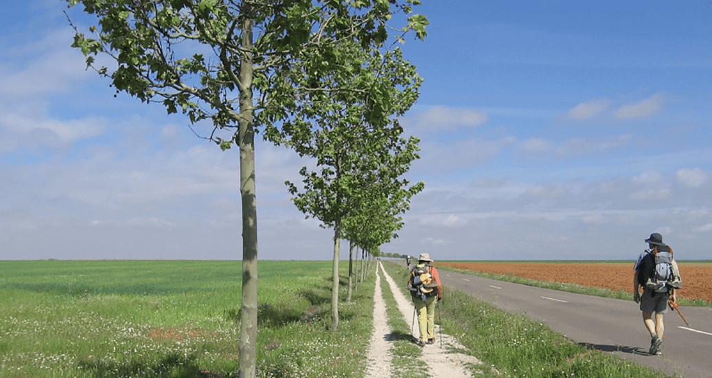 Pilgrims walking on pathway Camino frances