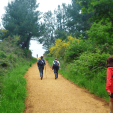 Pilgrims walking through path on Camino Portugues coastal