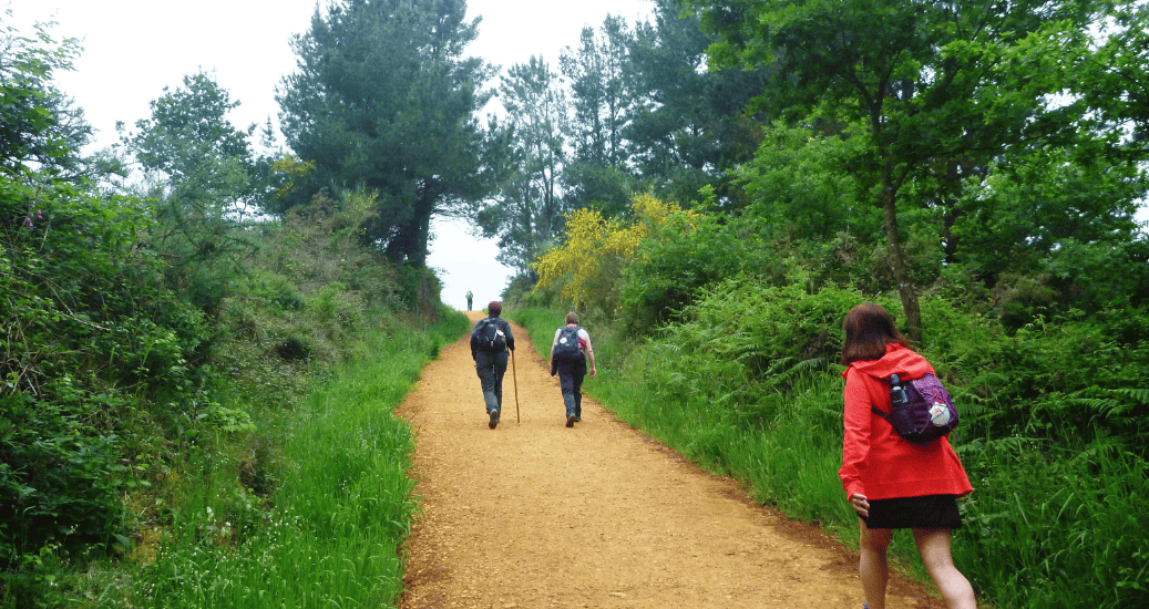 Pilgrims walking through path on Camino Portugues coastal