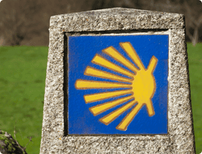 Camino de santiago sign in stone - highlight