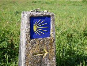 Camino yellow arrow signage