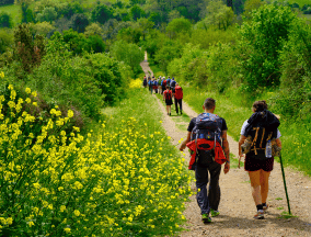 Camino frances path with pilgrims