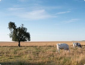 Nord-pas-de-Calais