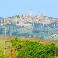 Viterbo