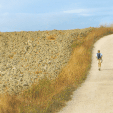 Pilgrim walking through field