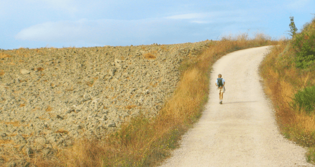 Pilgrim walking through field