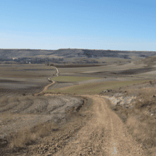Path on Camino Frances