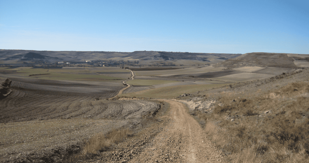 Path on Camino Frances