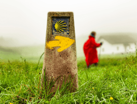 Yellow arrow Camino