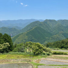 Kumano Kodo: Mountains View and Rice Terrace