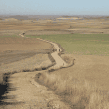 Path on Camino Frances