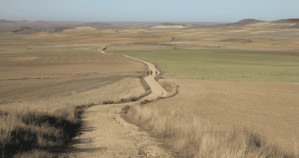 Path on Camino Frances