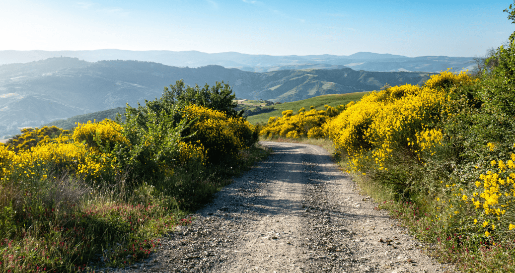 Mountain on Via Francigena