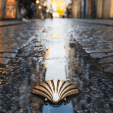 Camino shell on path on camino frances