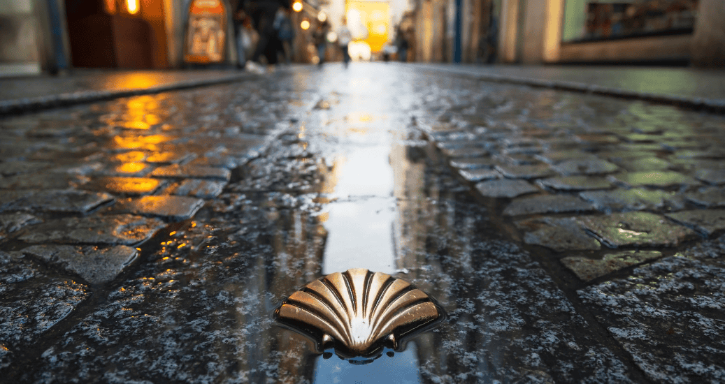 Camino shell on path on camino frances