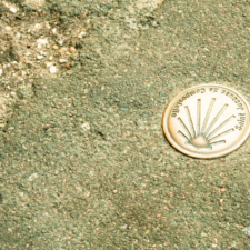 Camino shell road