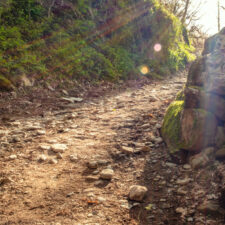 Camino Frances