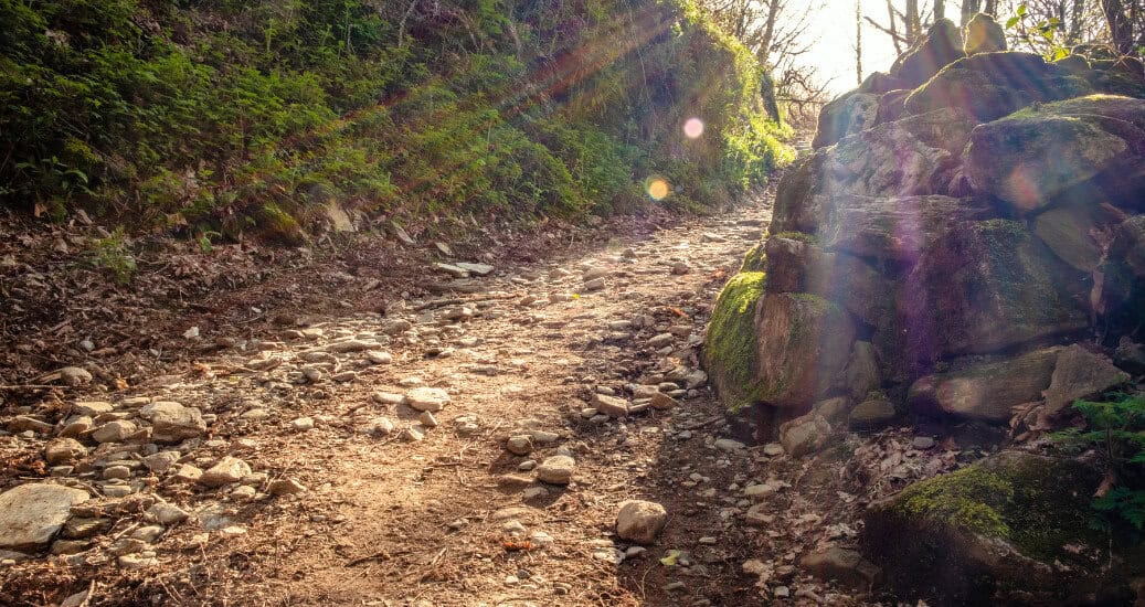 Camino Frances