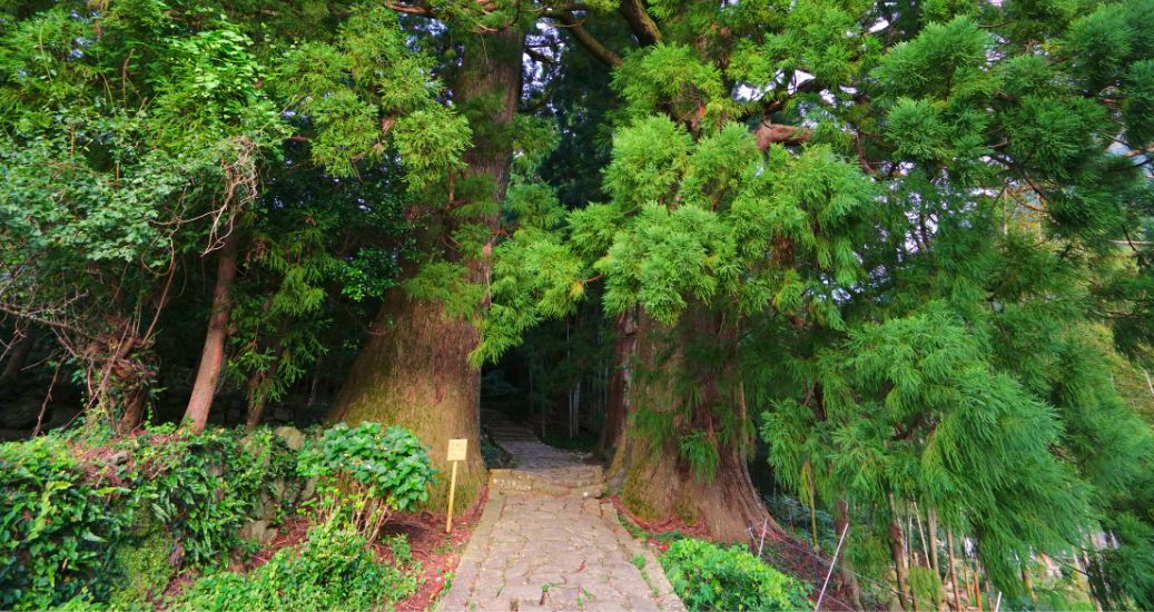 Kumano Kodo Pilgrimage Trails, Nachikatsuura Town, Wakayama Pref., Japan