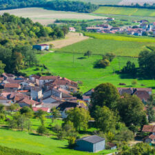 Champagne vineyards in the Cote des Bar area of Aube (2)