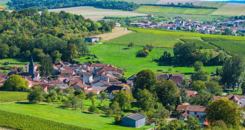 Champagne vineyards in the Cote des Bar area of Aube (2)