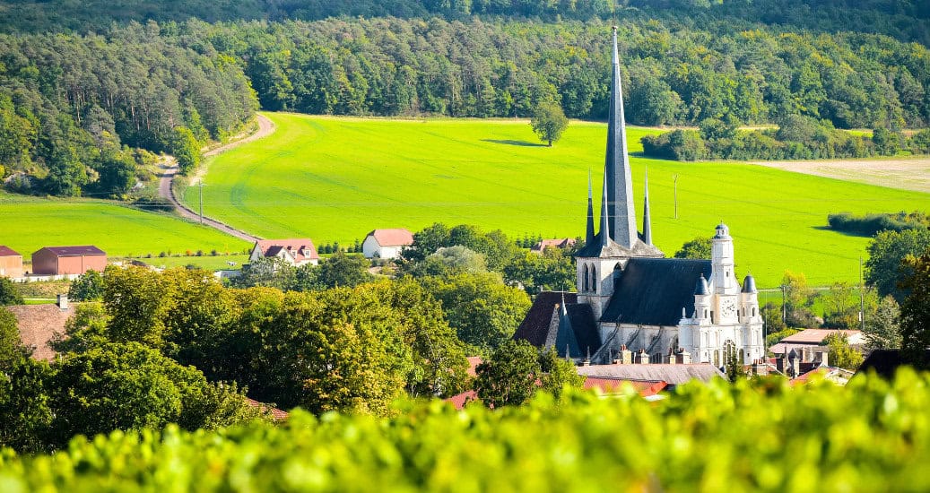 Champagne vineyards in the Cote des Bar area of Aube
