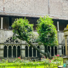 Church in Viterbo