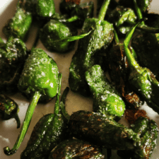 Food and tapas Pimientos de padron