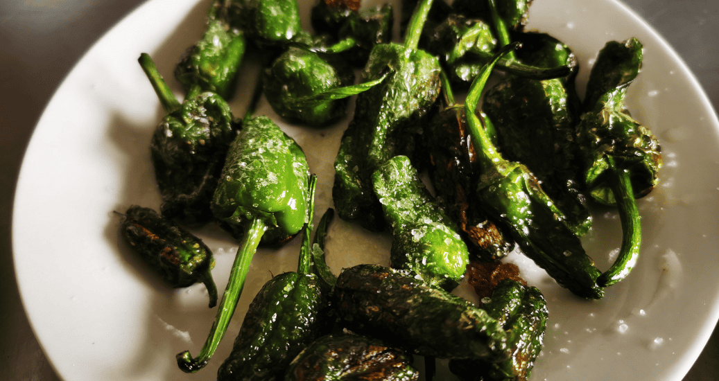 Food and tapas Pimientos de padron
