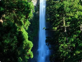 Nachi waterfall