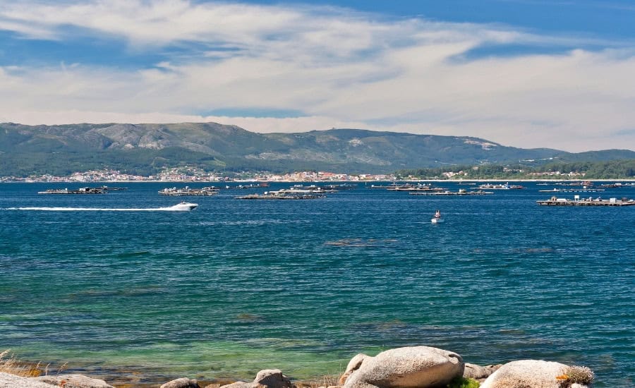 Ria de Arousa