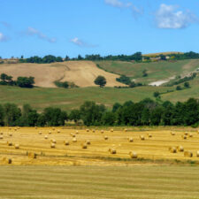 Rural landscape along the Cassia near Acquapendente, Lazio (2)