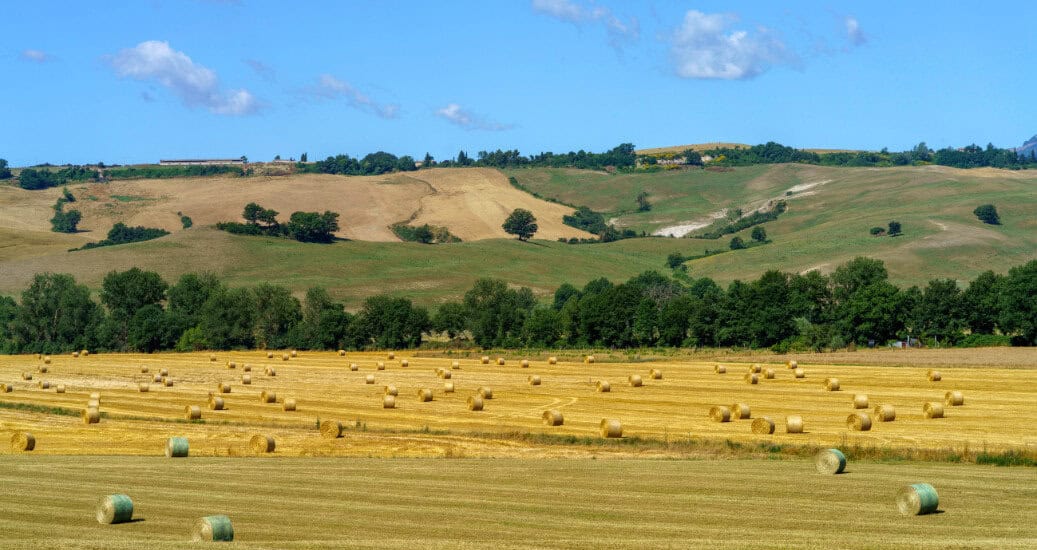 Rural landscape along the Cassia near Acquapendente, Lazio (2)