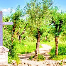 Via Francigena