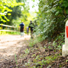 Via Francigena