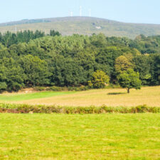 Wind farm - Palas de Rei