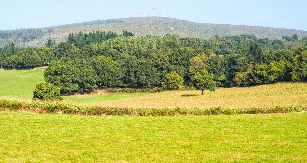 Wind farm - Palas de Rei