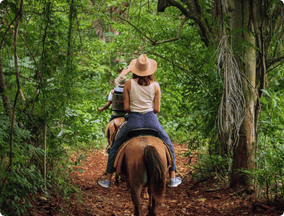 Camino on horse