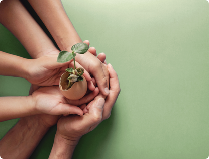sustainability hands holding growing plant together