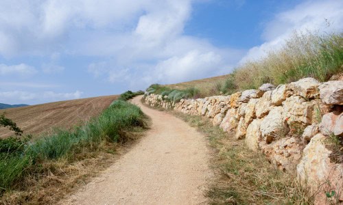 Camino in spring