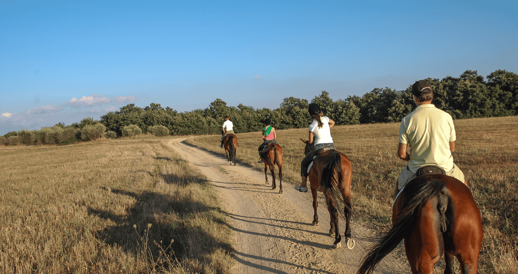 Horse Ride the Camino Frances